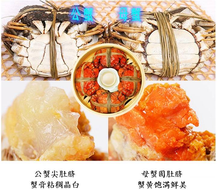 成隆行大閘蟹6隻套裝E (公約5.5-6兩 + 塔牌金麗春10年) - 網上限定訂購優惠